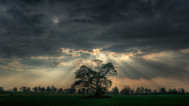 Tree clouds sunset mountains ocean free wallpaper - medium preview image