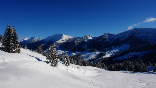 Snowy mountain trees blue sky #9 free wallpaper - medium preview image