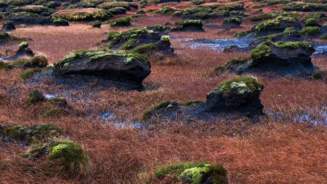 Mossy rocks field water sunset #2 free wallpaper - medium preview image