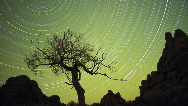 Tree startrail rockformation foreground silhouette free wallpaper - medium preview image
