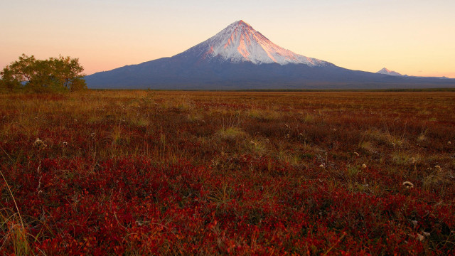 Red plants mountain autumn sunset free wallpaper - medium preview image
