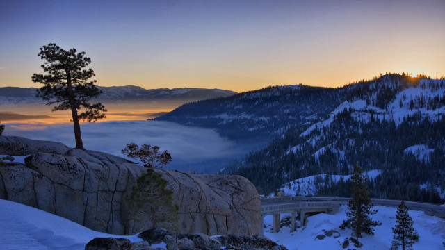 Scenic mountain bridge tree foggy free wallpaper - medium preview image