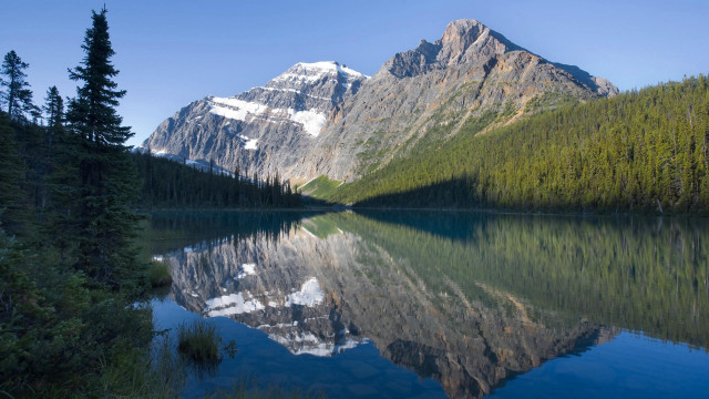Mountain reflection lake trees forest free wallpaper - medium preview image