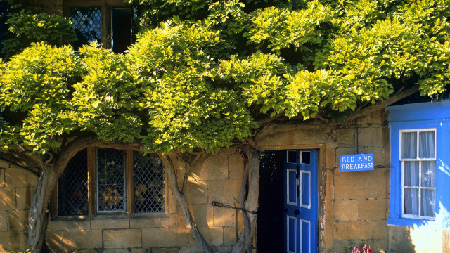Blue door vines puzzle sunset free wallpaper - medium preview image
