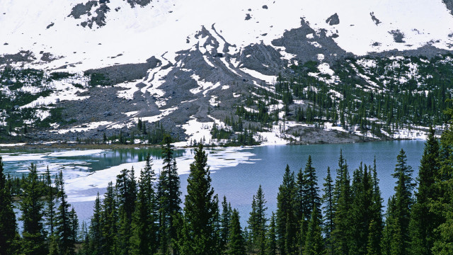 Mountain lake trees snow forest free wallpaper - medium preview image