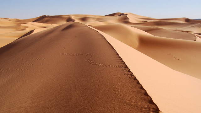 Desert sand dunes heart sand free wallpaper - medium preview image