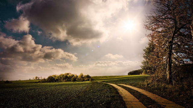 Field path tree cloudy sky free wallpaper - medium preview image