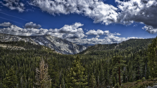 Mountain forest clouds sky horizon free wallpaper - medium preview image