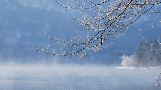 Snowy branch lake mountains fog free wallpaper - medium preview image