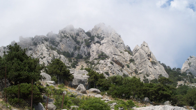 Mountain rocks trees fence bush free wallpaper - medium preview image