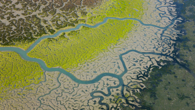 River green field forest hillside free wallpaper - medium preview image