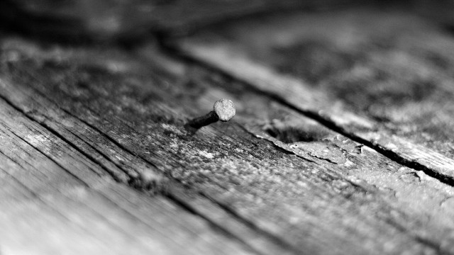Small wooden structure macro cloudy free wallpaper - medium preview image