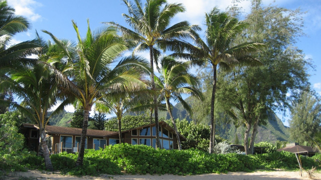 House palm trees mountain blue free wallpaper - medium preview image