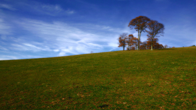 Grassy hill tree blue sky free wallpaper - medium preview image