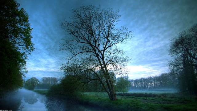 Tree river dusk blue sky #2 free wallpaper - medium preview image
