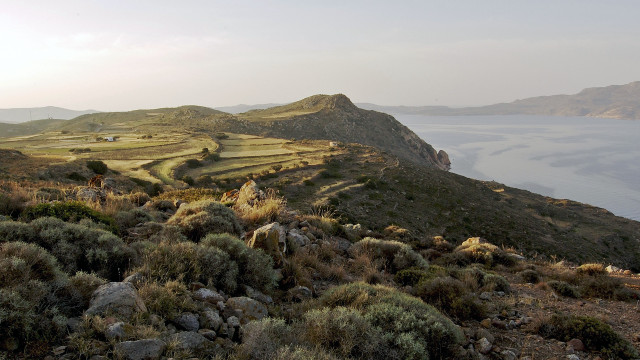 Grassy hill lake horizon mountains free wallpaper - medium preview image