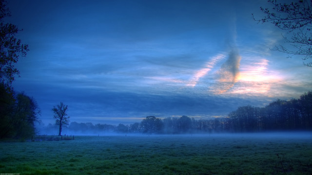 Foggy field clouds trees misty free wallpaper - medium preview image