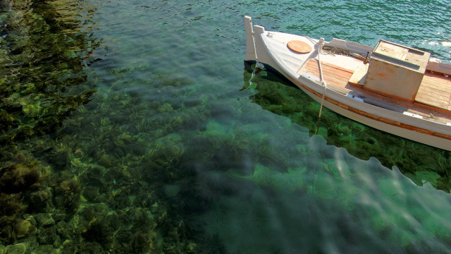 Boat water shore algae ecological free wallpaper - medium preview image