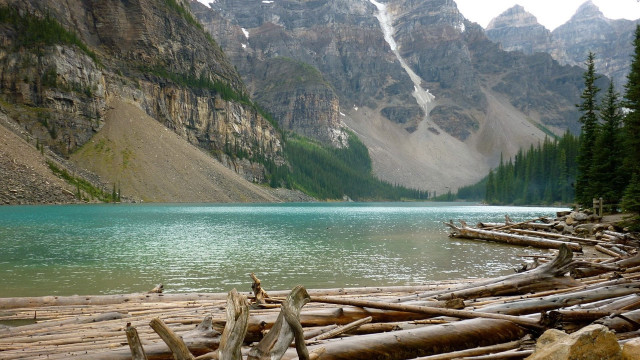 Mountain lake logs snowy peaks free wallpaper - medium preview image