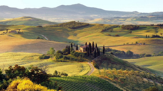 Scenic countryside hills trees road free wallpaper - medium preview image