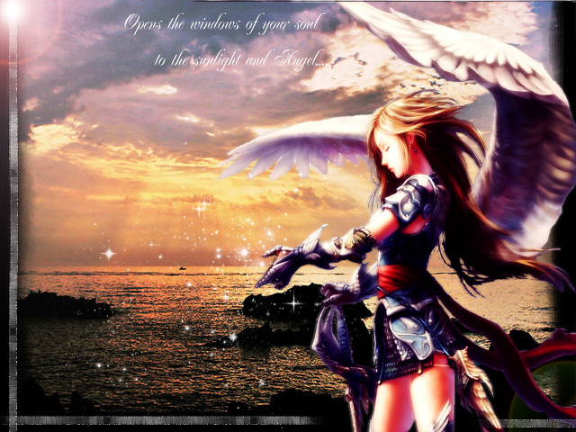 Woman wings sunset armor angel free wallpaper - medium preview image