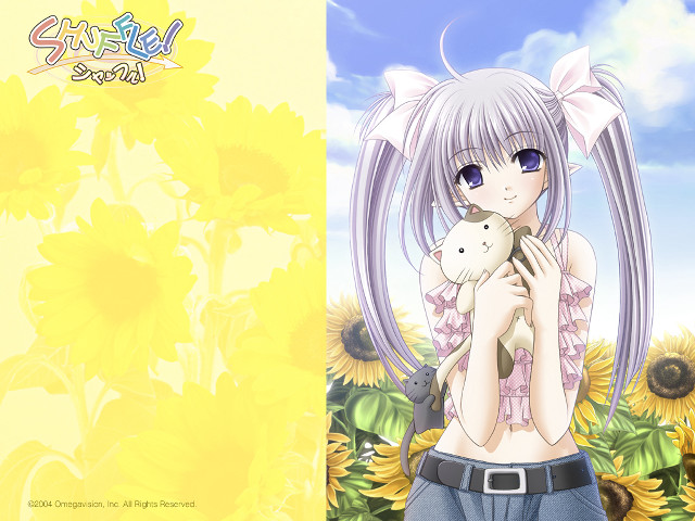 Girl stuffedanimal sunflower field outdoors free wallpaper - medium preview image