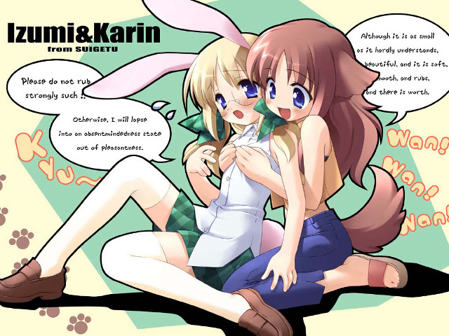 Anime girls cat speech bubbles free wallpaper - medium preview image