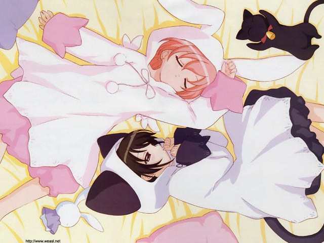 Remodernism sleeping cats bunny hoodie free wallpaper - medium preview image