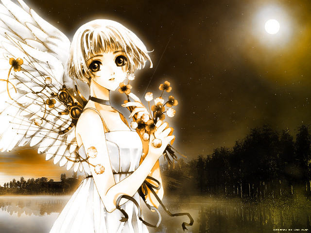 Angel wings girl moon flowers free wallpaper - medium preview image