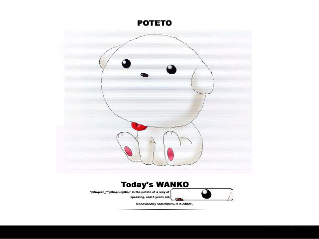 White dog red bowtie potatoto free wallpaper - medium preview image