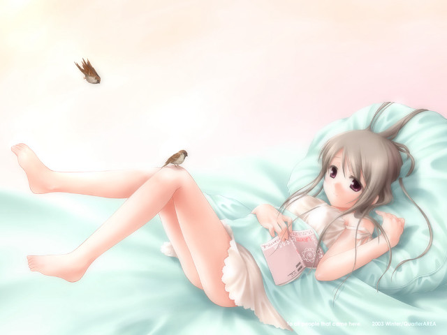 Woman bird bed anime dress free wallpaper - medium preview image