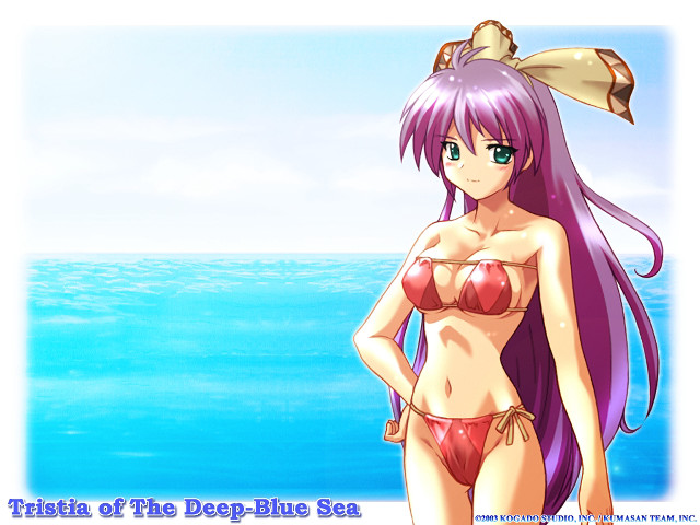 Beach bikini woman fish hair free wallpaper for desktop - medium preview image