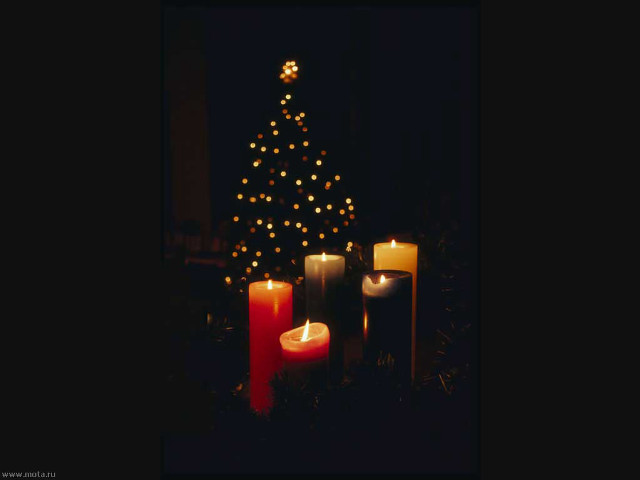Christmas tree lit candles background free wallpaper - medium preview image