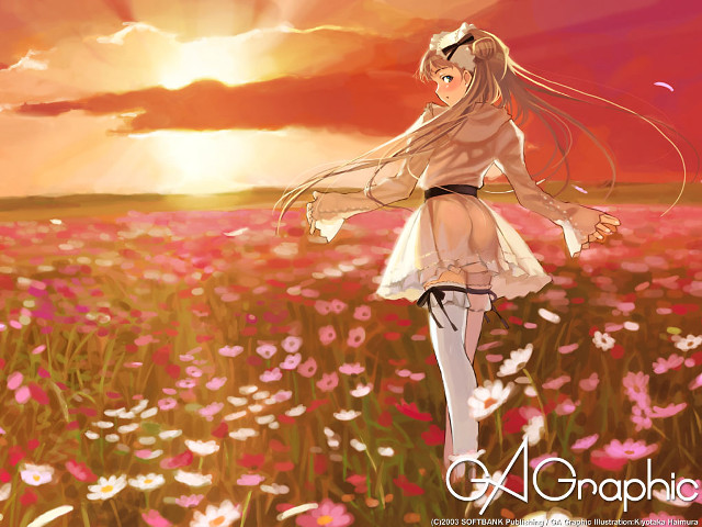 Girl flower field sunset clouds free wallpaper - medium preview image