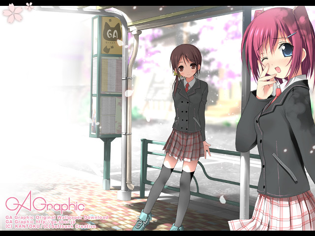 Ai mitsu schoolgirls blush blossoms free wallpaper - medium preview image