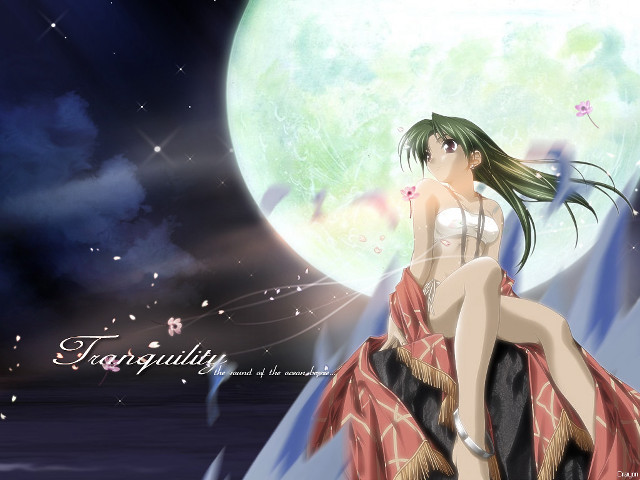 Woman moon planet night sky free wallpaper - medium preview image