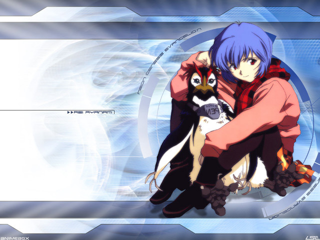 Penguin man blue background ayanami free wallpaper - medium preview image