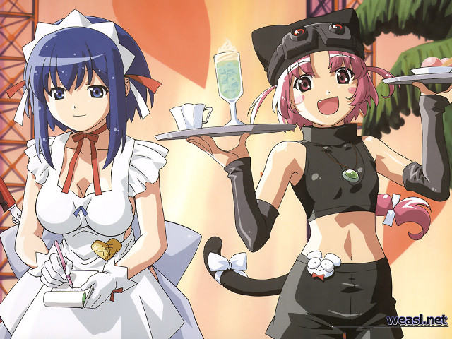 Anime maid catgirls food tray free wallpaper - medium preview image