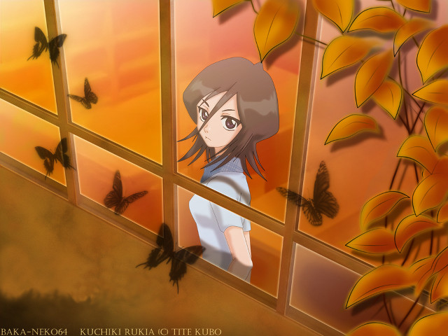 Girl butterflies window autumn yellow free wallpaper - medium preview image