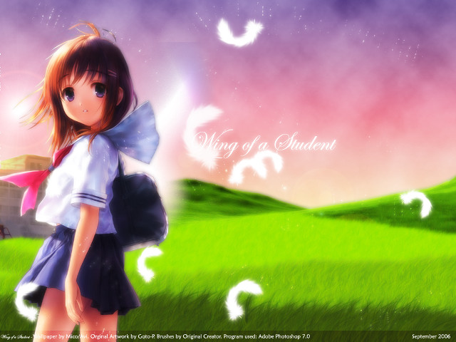 Girl backpack field birds purple free wallpaper - medium preview image