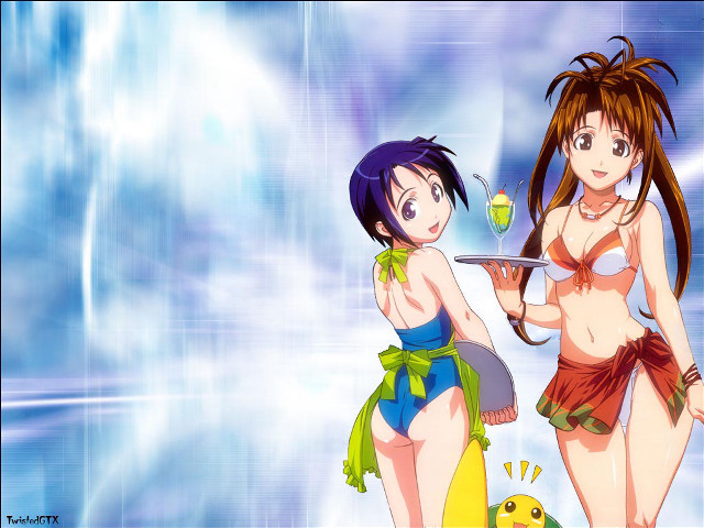 Two women bathing suits tray free wallpaper - medium preview image