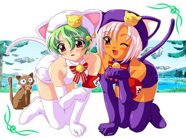 Anime characters cat furry manga free wallpaper - medium preview image