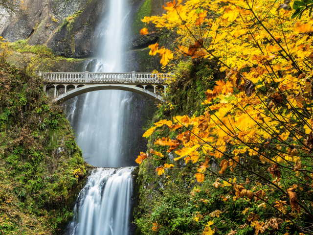 Bridge waterfall autumn scenery nature free wallpaper - medium preview image