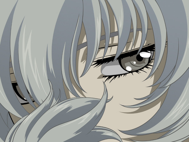 Closeup longhair blueeyes greyhair greyeyes free wallpaper - medium preview image