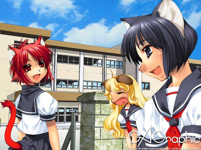 Anime characters outside building cat free wallpaper - medium preview image