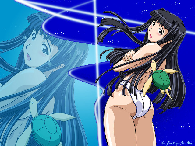 Cartoon woman turtle blue stars free wallpaper - medium preview image