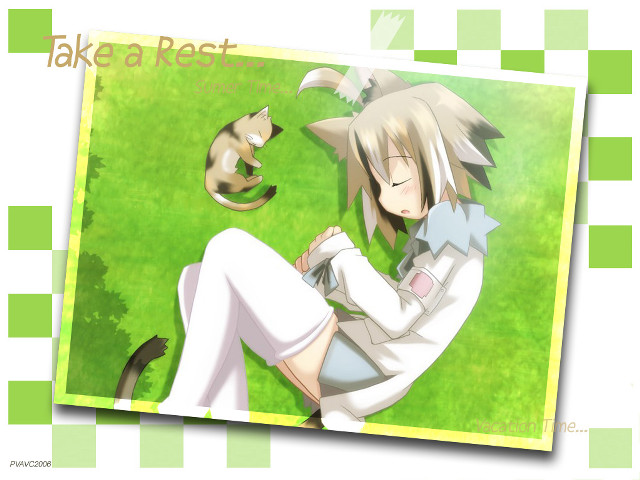 Grass sitting cat lap anime free wallpaper - medium preview image