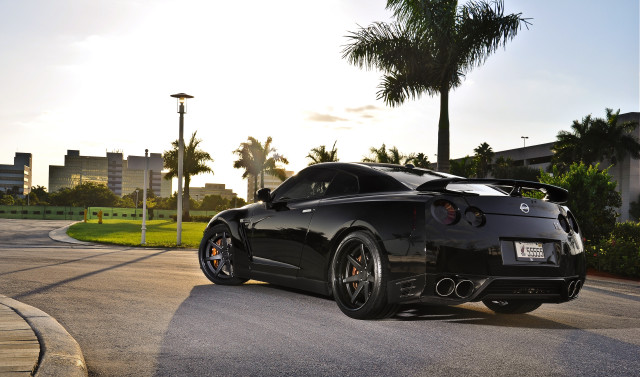 Black sports car palm tree #2 free wallpaper - medium preview image