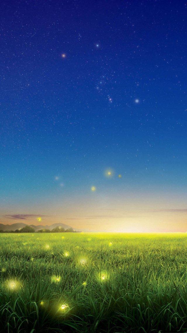 Field grass fireflies night sky free wallpaper - medium preview image