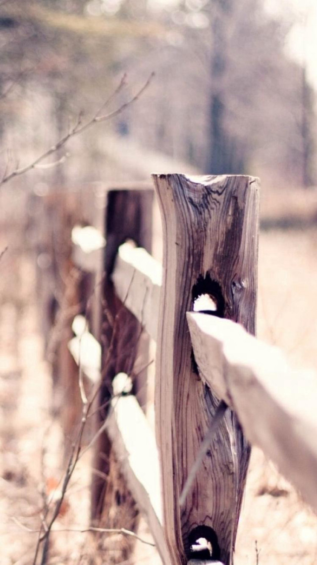 Wooden fence hole grass field free wallpaper - medium preview image